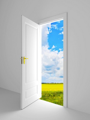 Карельские двери: экологичные и доступные абсолютно каждому